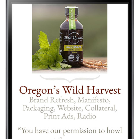 professional services website design